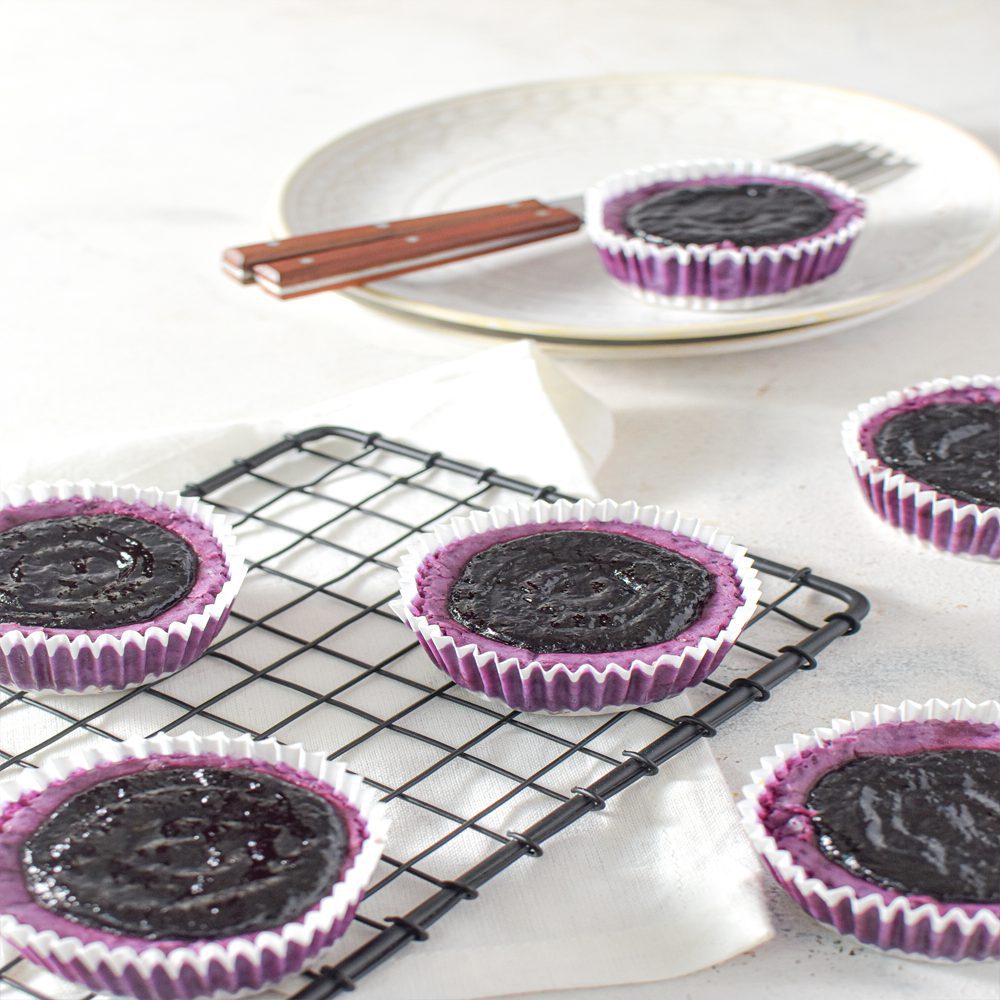 Sugar Free Blueberry cheesecake 1